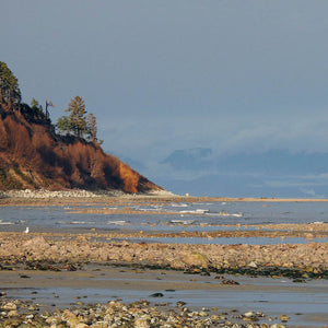 Cape Lazo, BC 