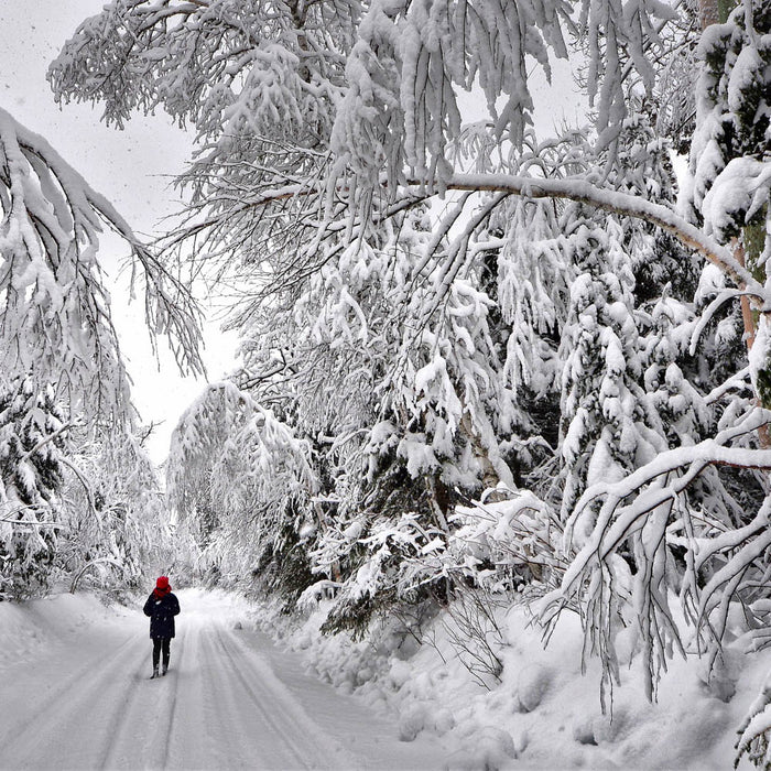 Canadian Snow